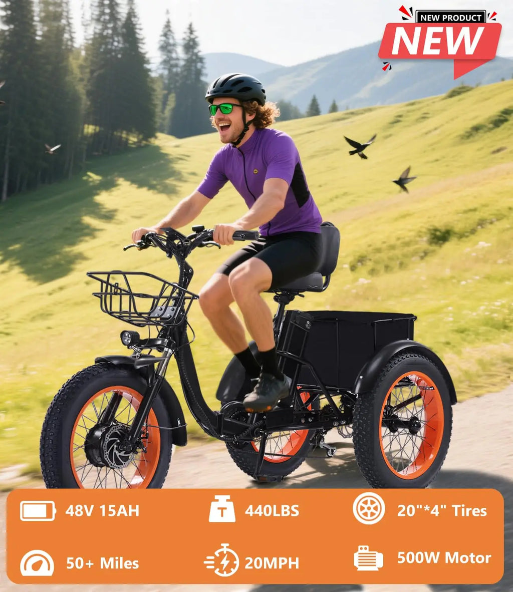 7 SPEED E-TRIKE