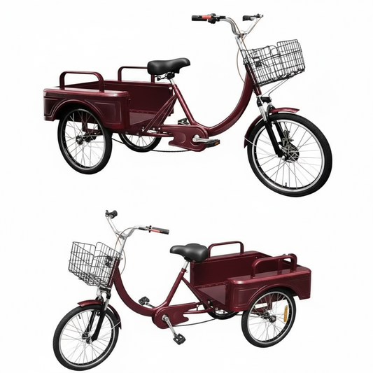 Tricycle Bike