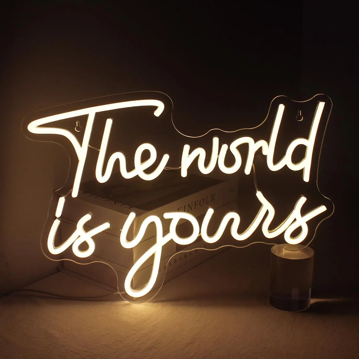 The World Is Yours Neon Sign