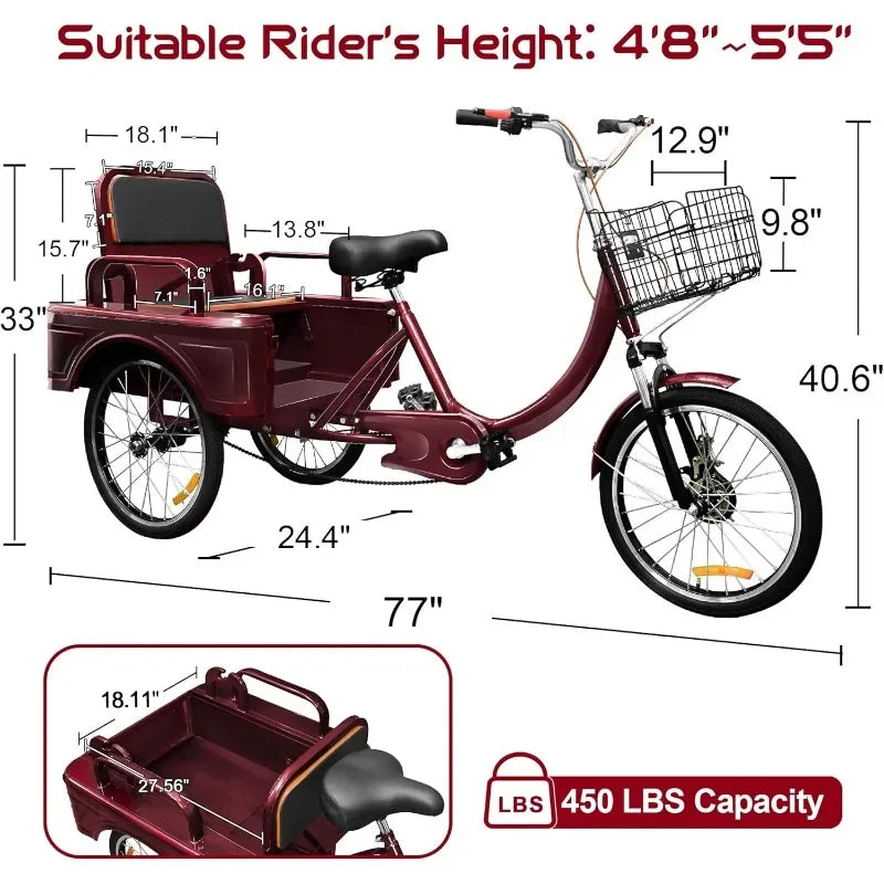 Tricycle Bike